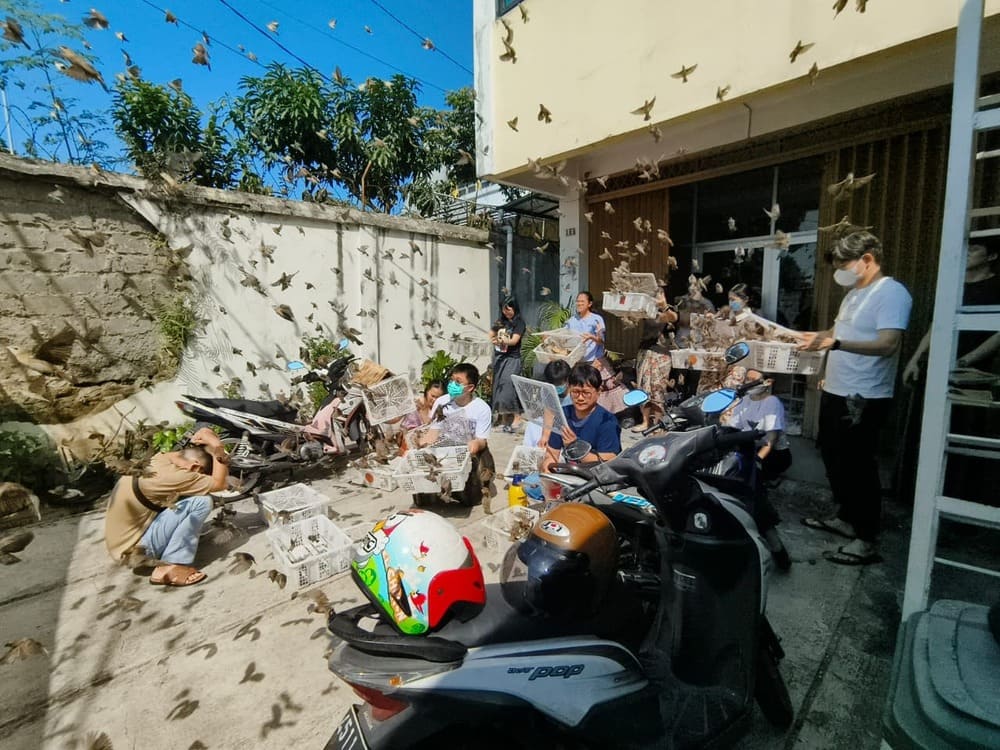 Berhati-hatilah saat memperlakukan hewan